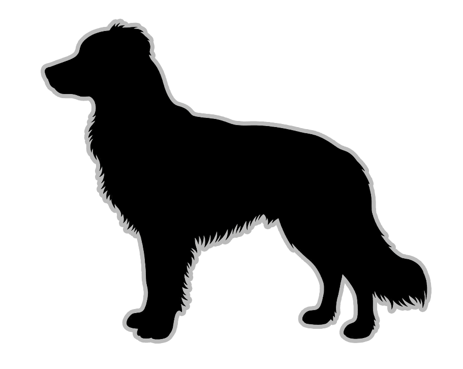 Left dog profile
