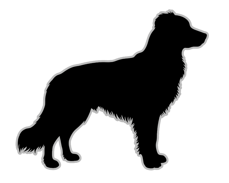 Right dog profile